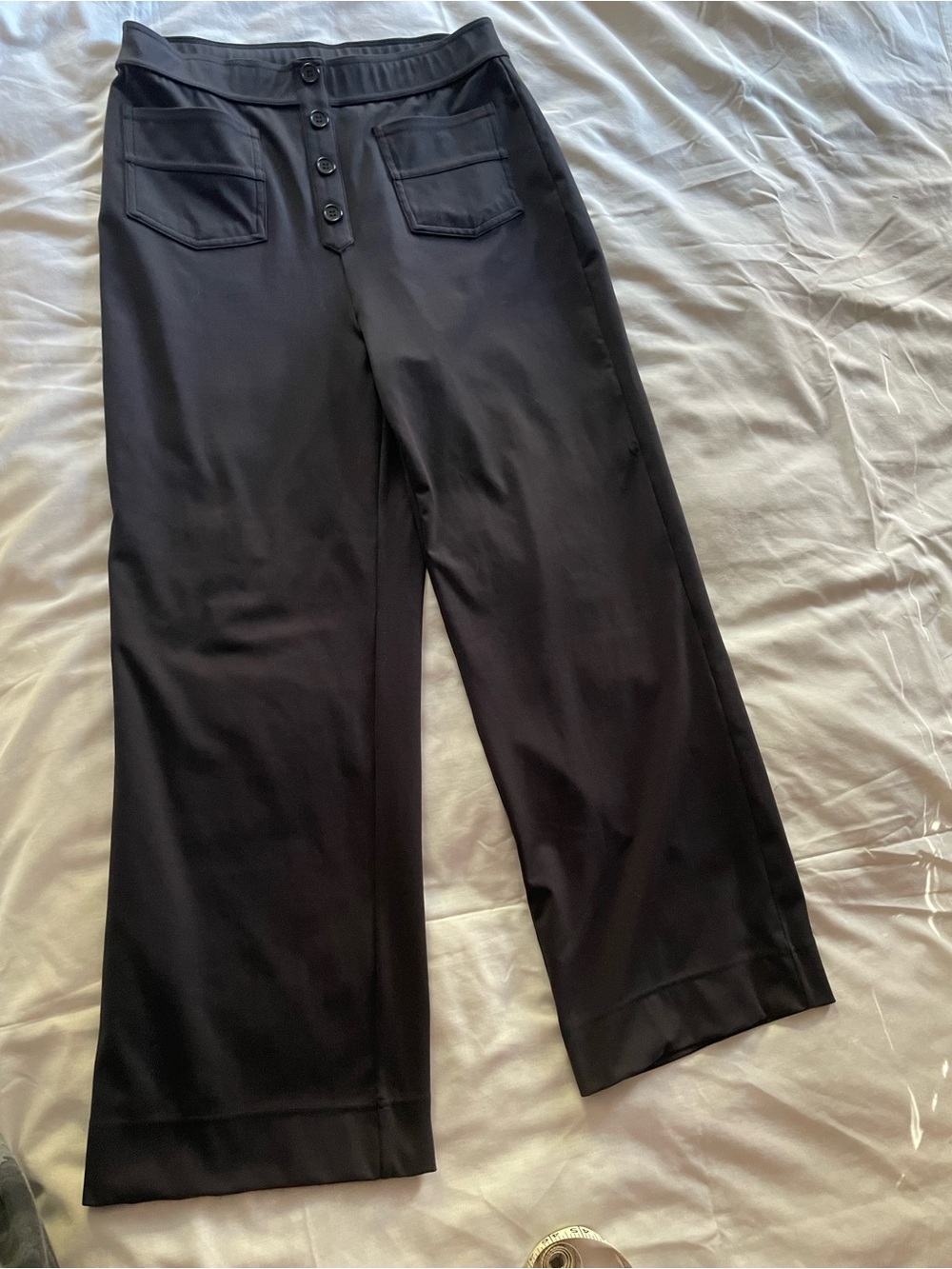 HALARA Black Wide-Leg Button-Front Women's Pants L P